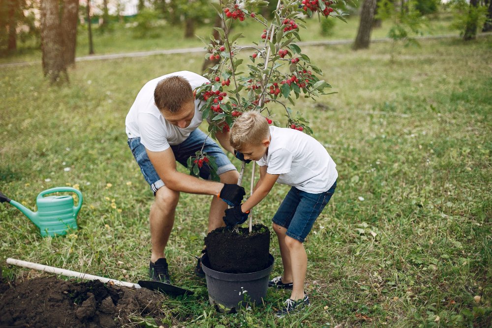 Planting your first Tree